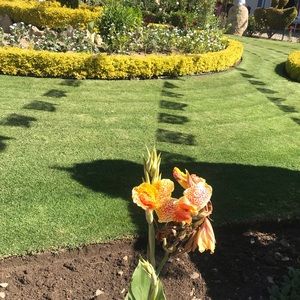 Meet your Posher, Dulce